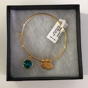 Alex & Ani December Birthstone Bracelet